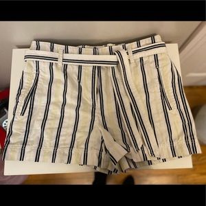 Loft High Waisted Shorts with tie